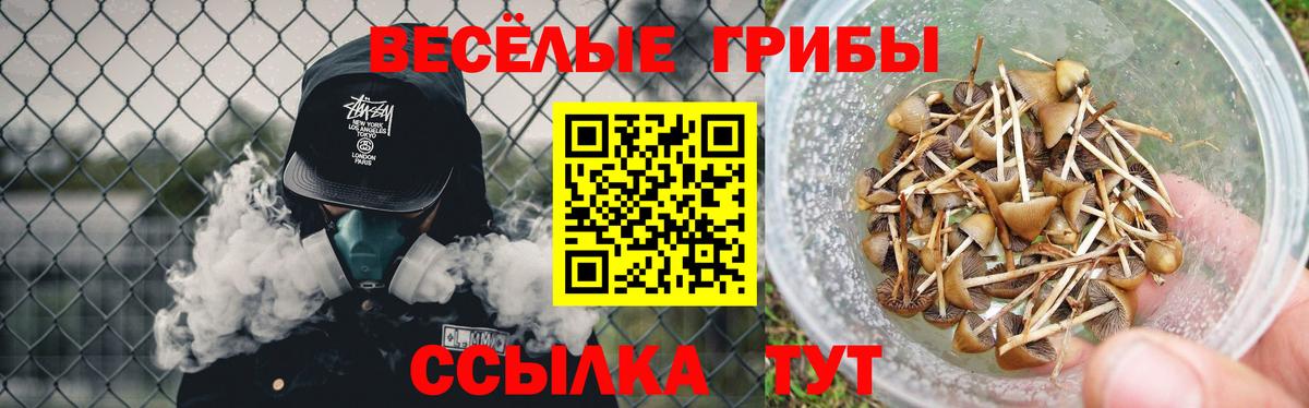 Псилоцибиновые грибы мухоморы Пушкино