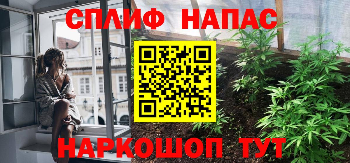 МАРИХУАНА ГИДРОПОН Пушкино